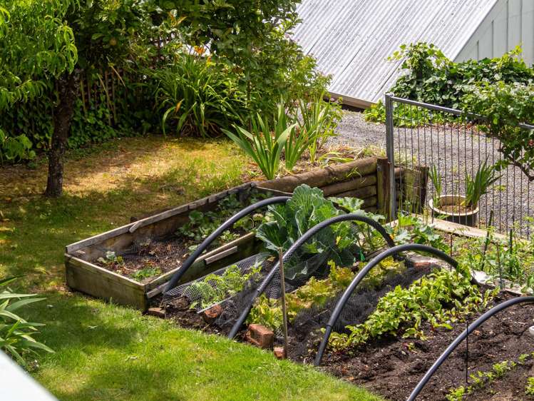 77 Rue Lavaud Akaroa_28