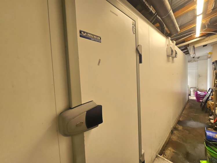 GF/234 Dominion Road Mt Eden_10