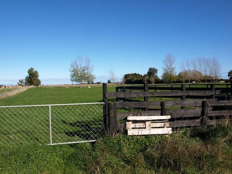 415 Makirikiri Road Marton_19