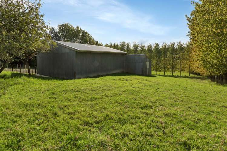 1265 Riponui Road Ruatangata_13