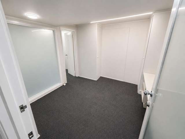 22B Jervois Road Ponsonby_4