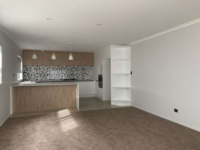 10 Ambedkar Way Pukekohe_1