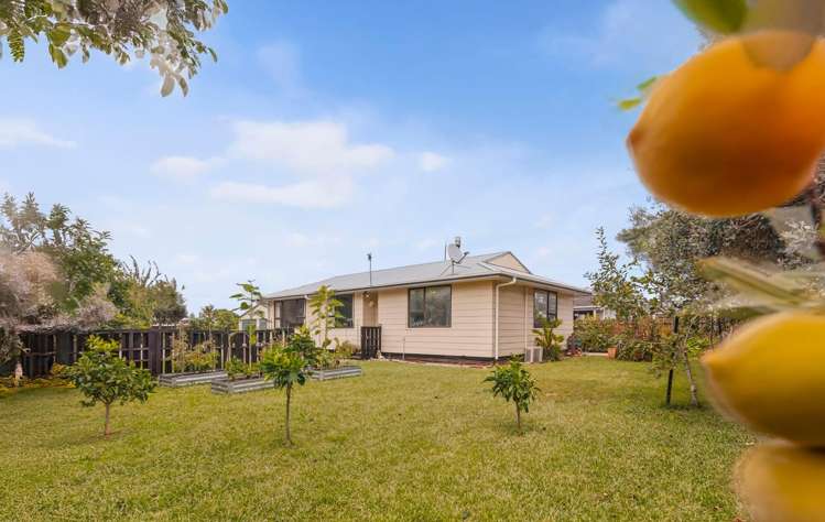3 Mackay Crescent Waihou_14