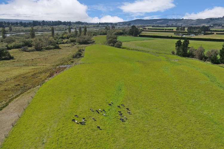 590 Ashley Road Summerhill_15