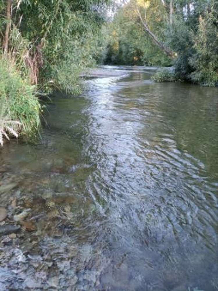 812 Hakataramea Valley Road Hakataramea Valley_5