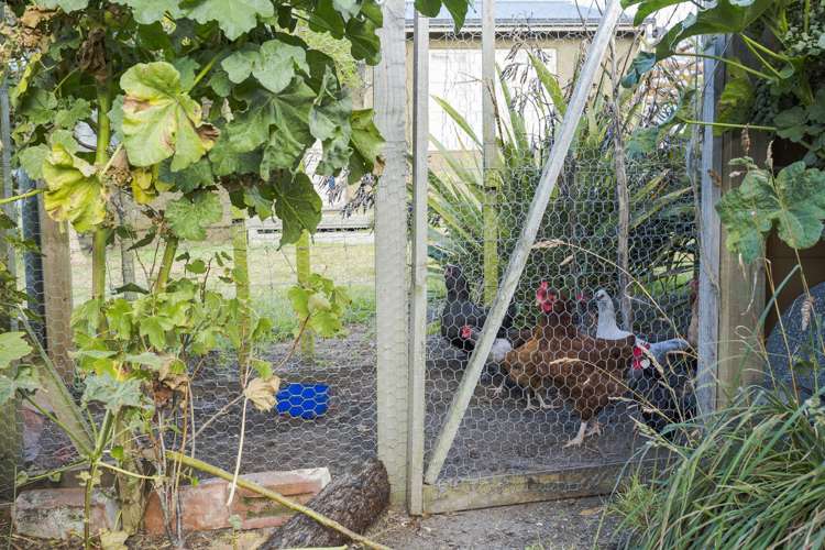 17 Carnock Road Harwood_5