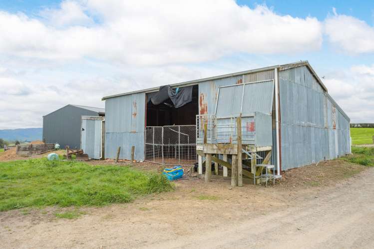 222 Gunn Road Matamata_17
