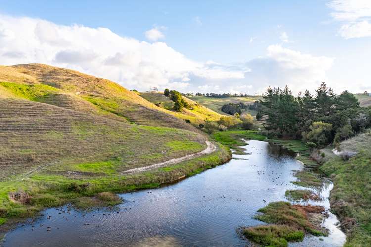 98 Rowland Road Dargaville Surrounds_14