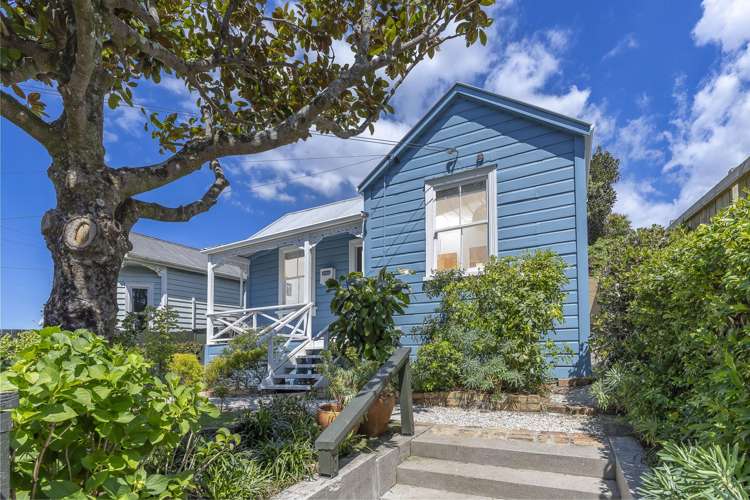 44 Second Avenue Kingsland_18