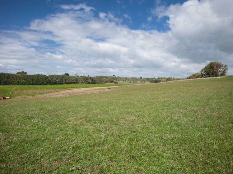 137 Sanson Road Ruawaro_34