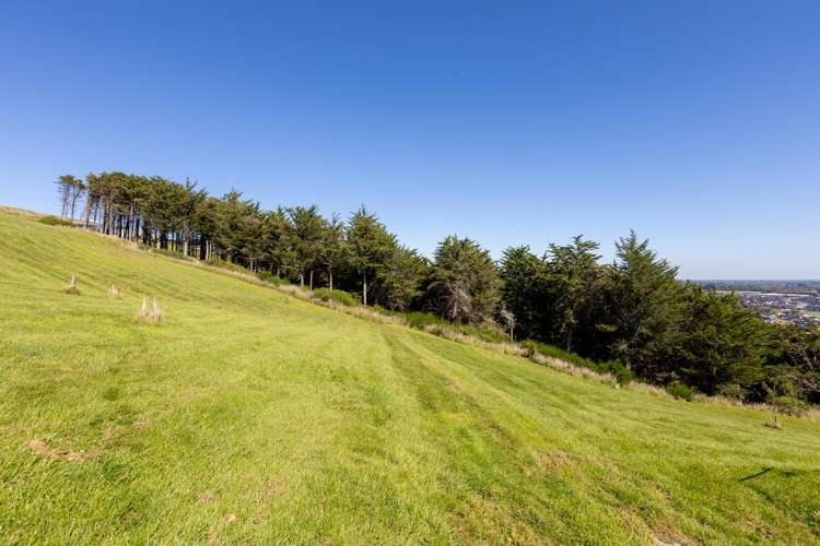 50 Kitcheners Knoll Road Kennedys Bush_8