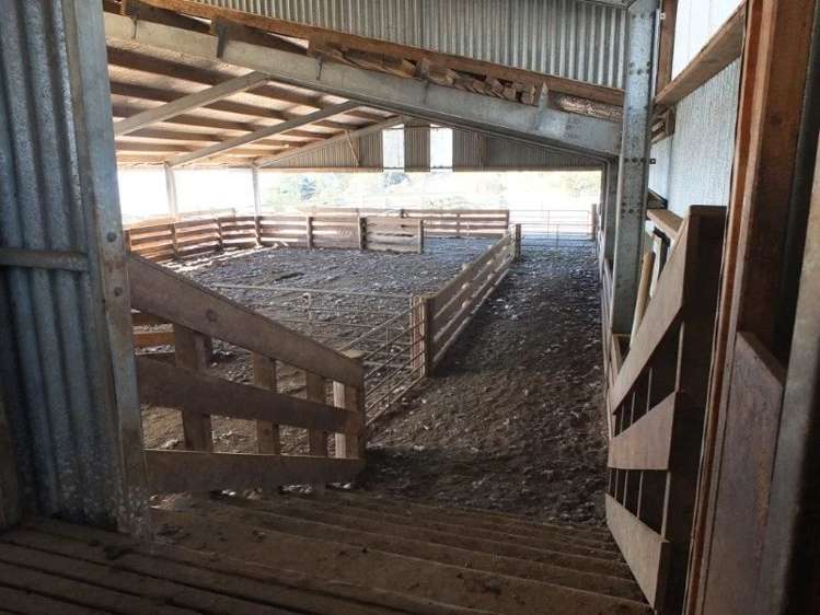 831 Chorlton Road Little Akaloa_4