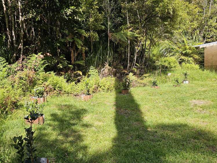 215 Clifton Road Kaiata_11