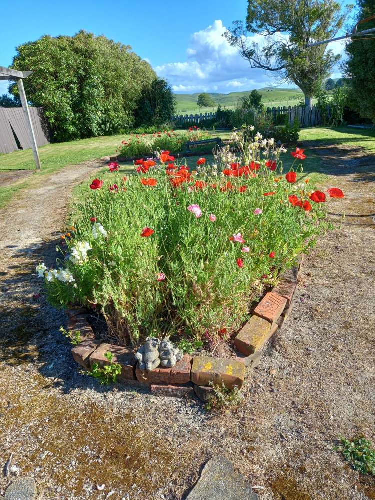 42 Alfredton Road Eketahuna_11