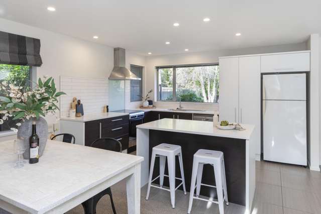 2a Winsor Crescent Spreydon_1