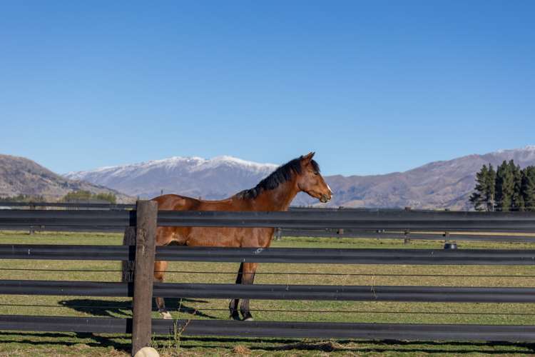 474 Wanaka-Luggate Highway Wanaka_14