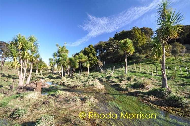 208 Heatley Road Whakapirau_49