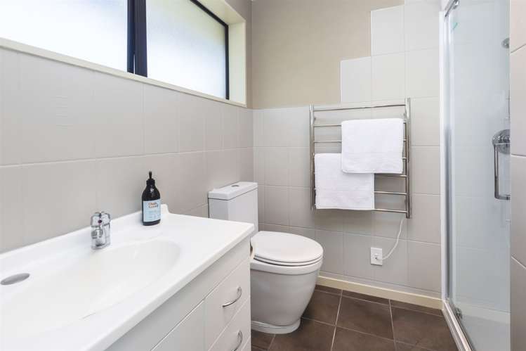 65 Lowry Avenue Redwood_10