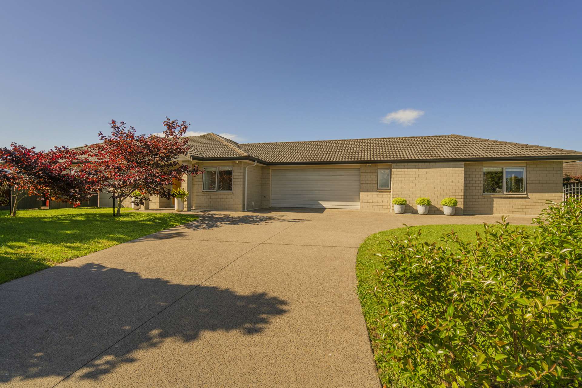 10 Roseberry Place Whitianga_0