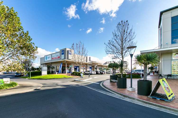 100c Michael Jones Drive Flat Bush_9