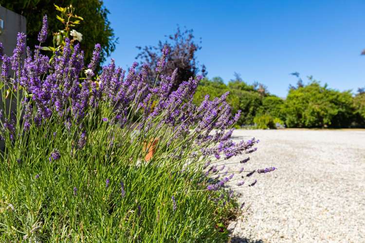 11 Ewing Place Wanaka_26