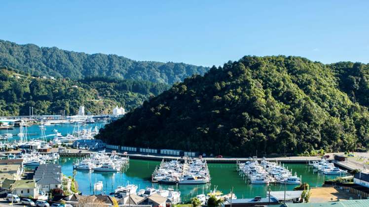 3b Milton Terrace Picton_24