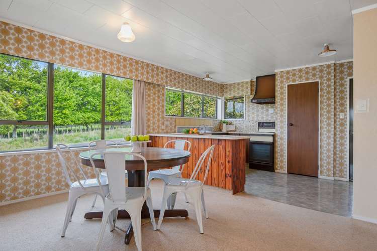 37 Seales Road Morrinsville_8