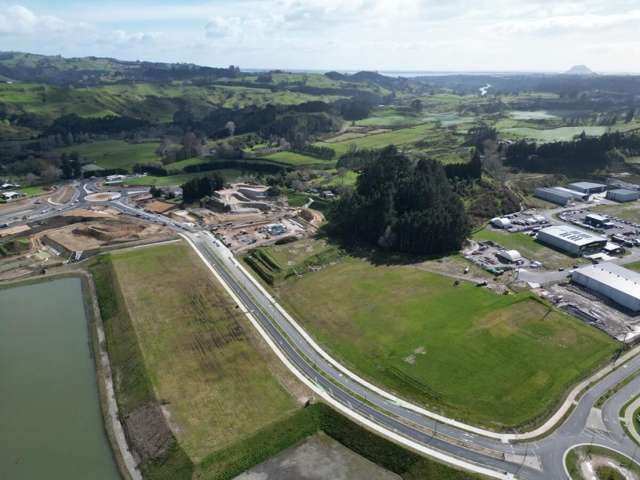 222 Kaweroa Drive Tauriko_3