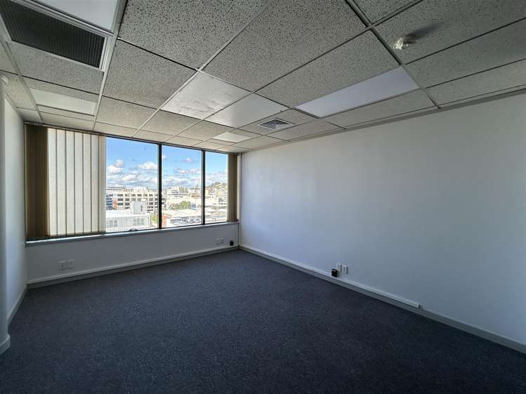 391-393 Khyber Pass Road Newmarket_7