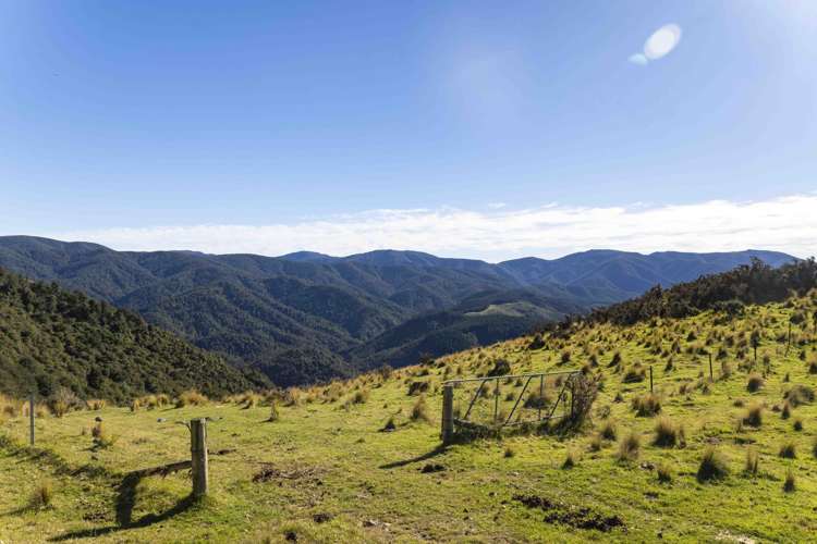 103 Glentui Bush Road Oxford_28