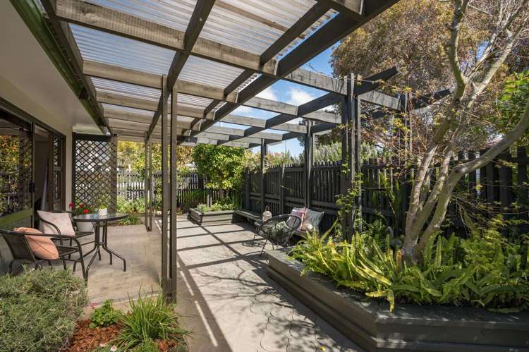 1/87a Halifax Street_0