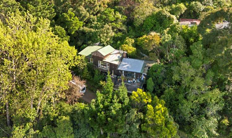 1077 Dyers Pass Road_0