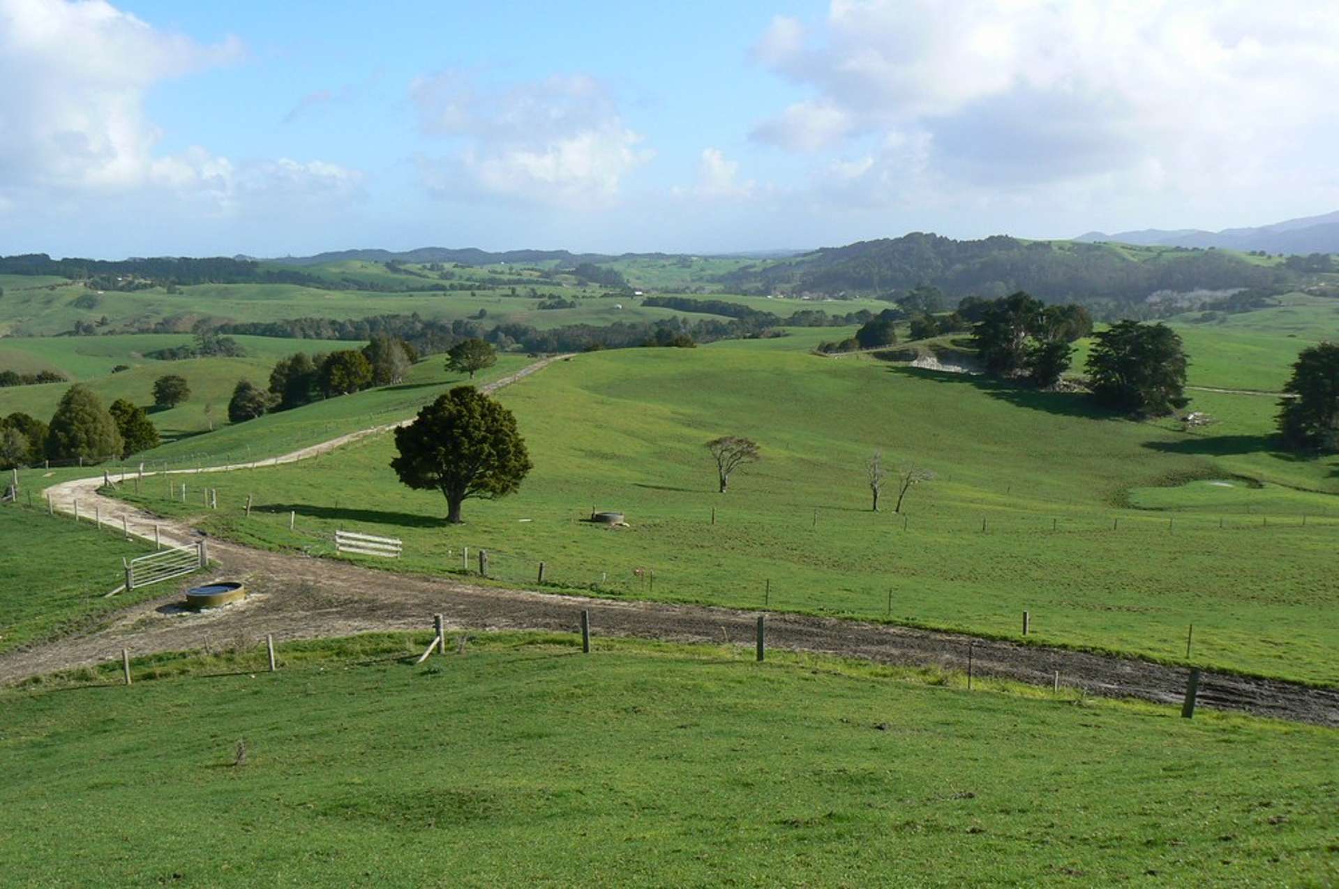 Russek Road Whangarei_0