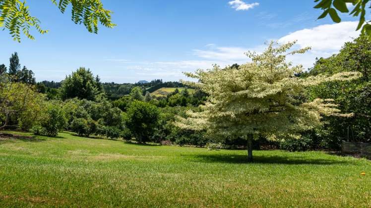 226 Snodgrass Road Te Puna_14