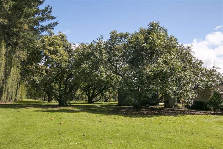 413 Kauri Point Road Hauraki Surrounds_13