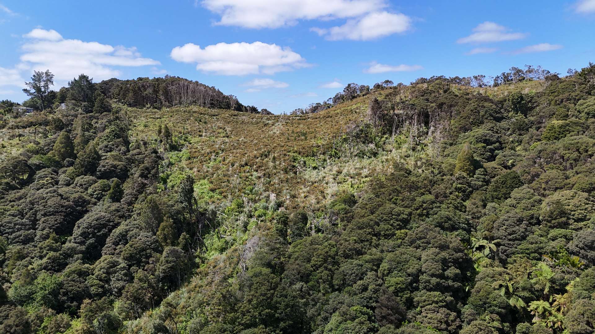 Otangaroa Side Road Kaeo_0