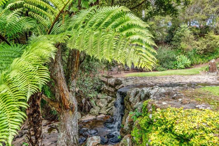 59E Riddell Road Kerikeri_18