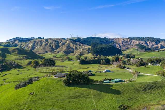 143 Pond Road Raglan_3