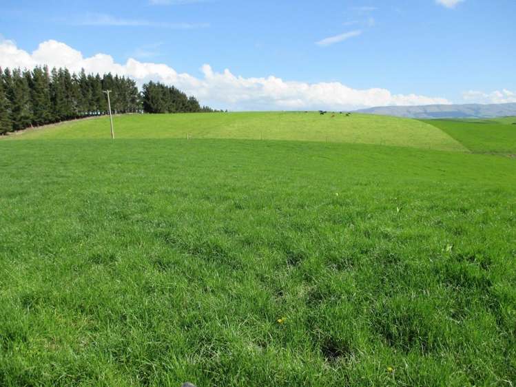 222 Morgan Road Clinton and Surrounds_11