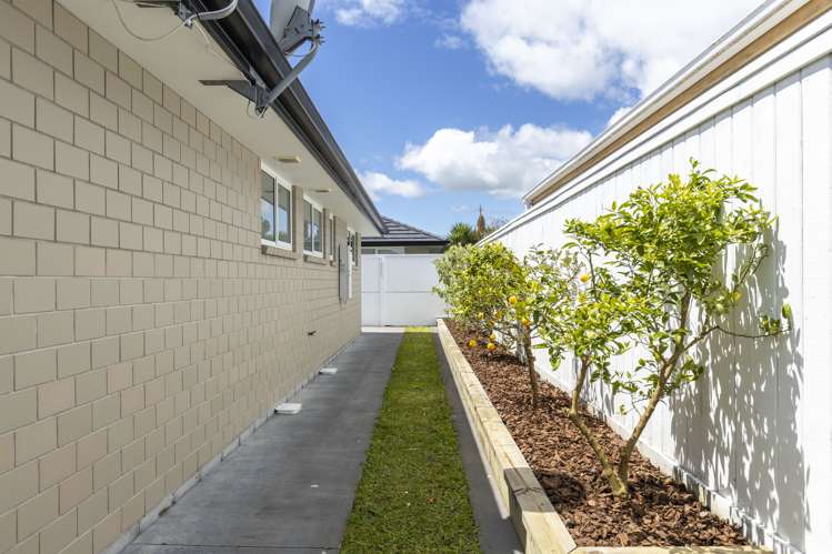 175A Carrington Street Lower Vogeltown_27
