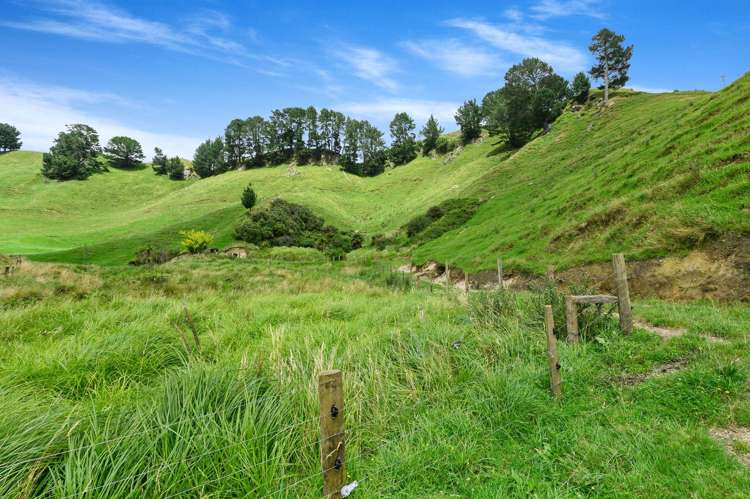 1765 Tutukau Road Kinloch_20