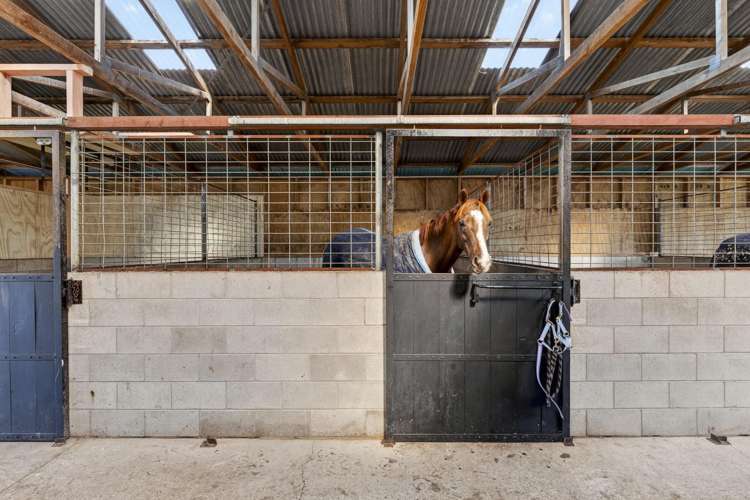 25 French Pass Road Cambridge_24