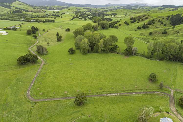 1371 Waihue Road Dargaville Surrounds_0