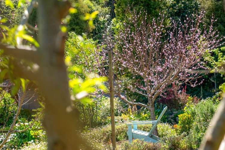 223 Waitaha Road Welcome Bay_22