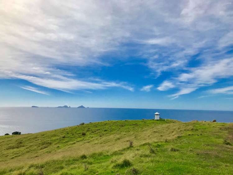 190 Pacific Ocean, Slipper Island (Whakahua) Thames_14