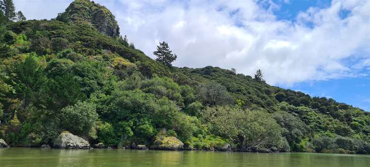 Whangaroa Road Kaeo_9