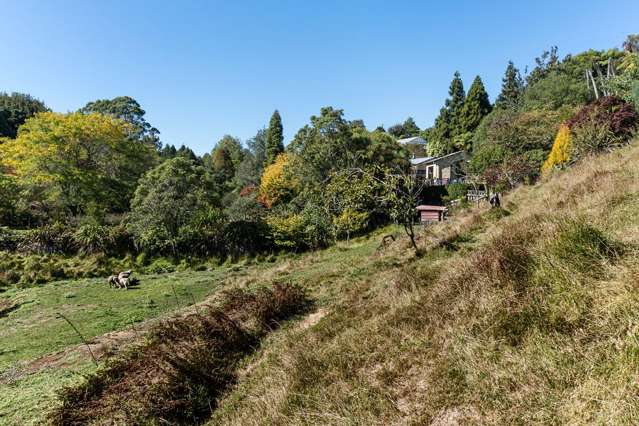 144b Heta Road Highlands Park_1