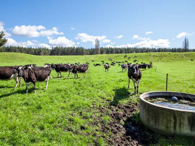 667a Kopuriki Road Murupara Surrounds_2