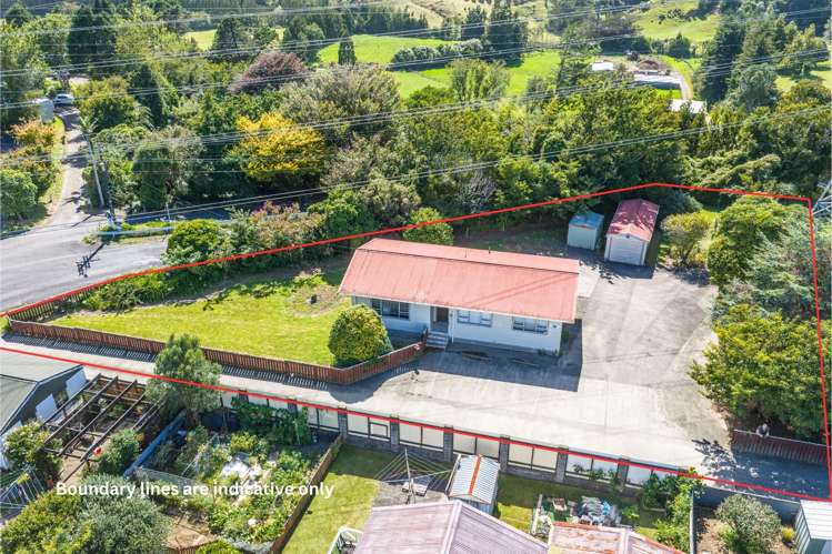 22 Saxton Road Upper Vogeltown_12