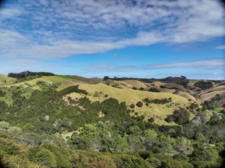 79 Awaawaroa Road Awaawaroa Bay_18